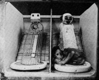 Nature_of_Love_Wire_and_cloth_mother_surrogates.jpg